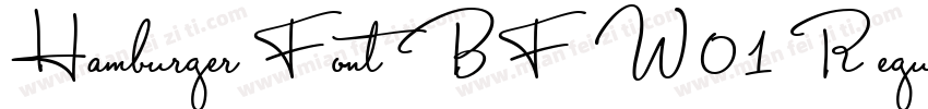 Hamburger Font BF W01 Regular字体转换
